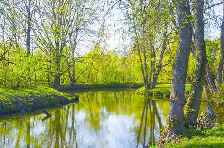 Surface d'eau calme avec reflets — plan d'eau naturel
