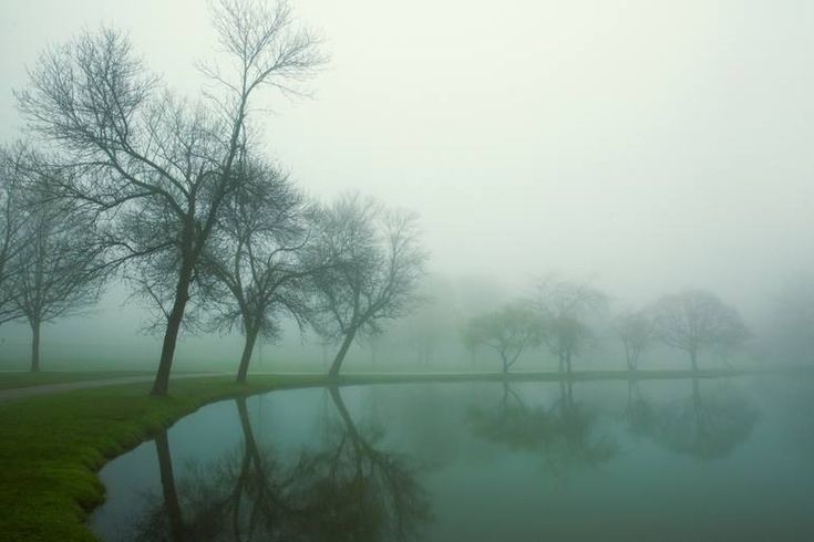 Lac naturel avec reflets d'arbres — surface calme eau limpide